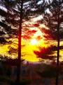  Indigo Trail - Photo 20