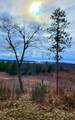  Indigo Trail - Photo 9