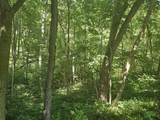 0 Sylvan 57 Acres - Photo 15