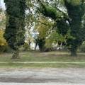 814 / Woodlawn Avenue - Photo 4