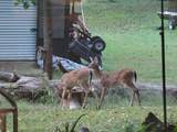 1242 Nature Way - Photo 5