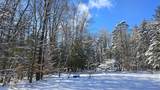 17233 Lindroos Road - Photo 17