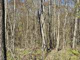  V/L 3 Mile Road - Photo 9