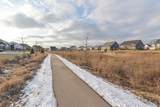 3659 Colt Drive - Photo 57