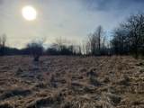  Keller/Head Road - Photo 20