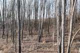 V/L Stone Lake Drive - Photo 7