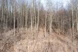 V/L Stone Lake Drive - Photo 8