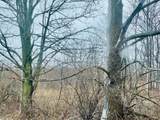 0 Pardee Rd - Photo 2