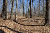14714 Myers Lake Parcel A Road - Photo 18
