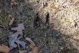 14714 Myers Lake Parcel A Road - Photo 20
