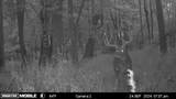 0 Stearns Road - Photo 1