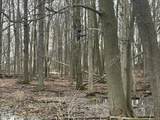 0 Stearns Road - Photo 8