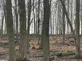 0 Stearns Road - Photo 9