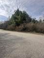 V/L-1 White Pine Drive - Photo 2