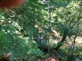 32538 Woodbrook Drive - Photo 47