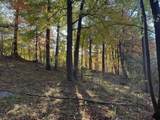 5950 Lake George Road Road - Photo 3