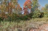 0 Forest Shores Drive - Photo 3