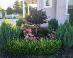 461 Fifth Street - Photo 79