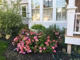 461 Fifth Street - Photo 80