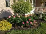 461 Fifth Street - Photo 81