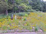 24108 Cr 375 - Photo 11