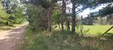  88th Avenue - Photo 4