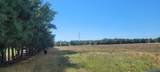  88th Avenue - Photo 9