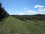 1997 Townline Road - Photo 35