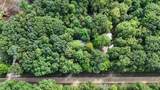 10450 Tuttle Road - Photo 35