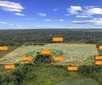 21433 Dixboro Road - Photo 10