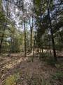 0 Shady Grove Drive - Photo 3