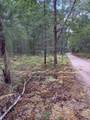 00 Shady Grove Drive - Photo 2