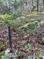 00 Shady Grove Drive - Photo 3