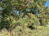 Lot 108 Stella Street - Photo 8