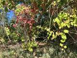 Lot 108 Stella Street - Photo 9