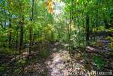 14111 Thompson Drive - Photo 11