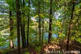 14111 Thompson Drive - Photo 4