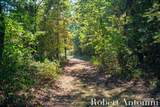 14111 Thompson Drive - Photo 6