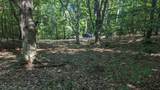 V/L Kissing Oaks Trail - Photo 15