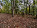 V/L Kissing Oaks Trail - Photo 5