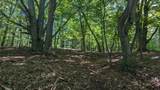 V/L Kissing Oaks Trail - Photo 7