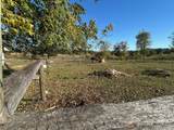7982 Remus Road - Photo 27