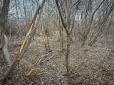  Crawford Road - Photo 37