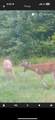 490 Kelley Road - Photo 12