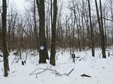 490 Kelley Road - Photo 25