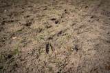 V/L Rybicki Road - Photo 21
