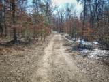 V/L Rybicki Road - Photo 36