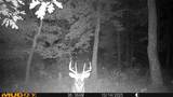 V/L Rybicki Road - Photo 47