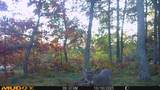 V/L Rybicki Road - Photo 48