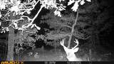 V/L Rybicki Road - Photo 49